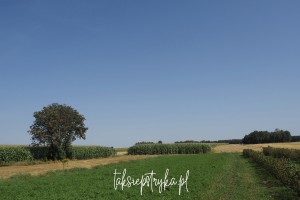 Bele za Piaskami taksiepstryka 20