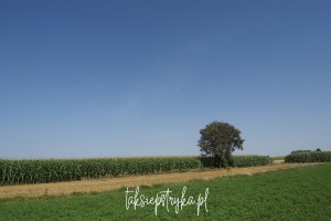 Bele za Piaskami taksiepstryka 21