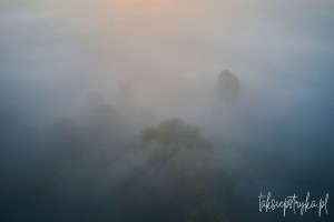 Mgly paz 01 2021  18