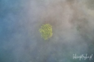 Mgly paz 01 2021  45