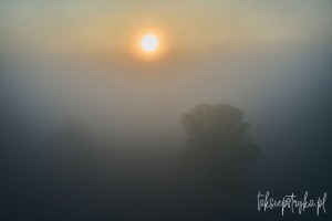 Mgly paz 01 2021  48