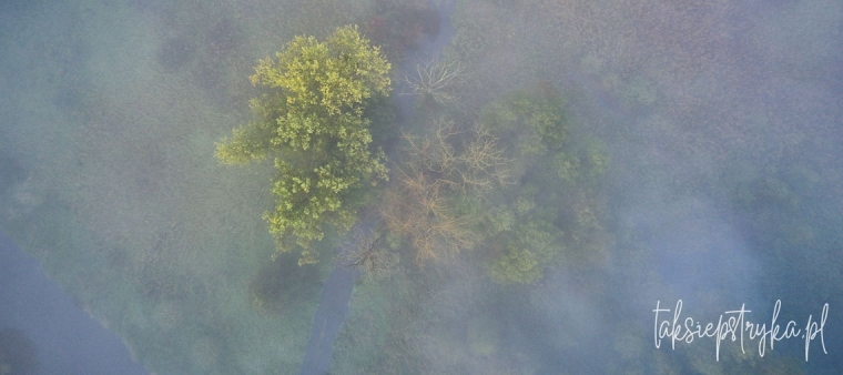 Dolina skąpana w mleku