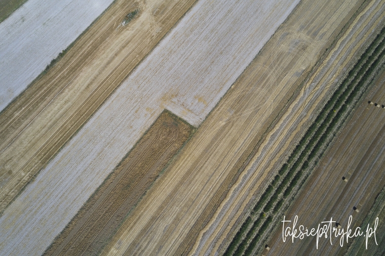 Roślinne kiełbasy z drona